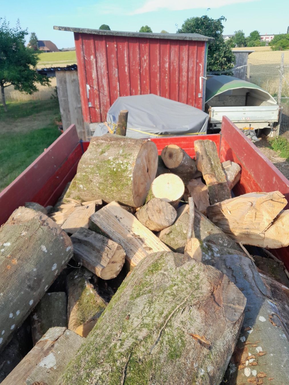 Articles en bois: Brennholz Buche ab 1.- – D'occasion à Inkwil par karlheinz07 1