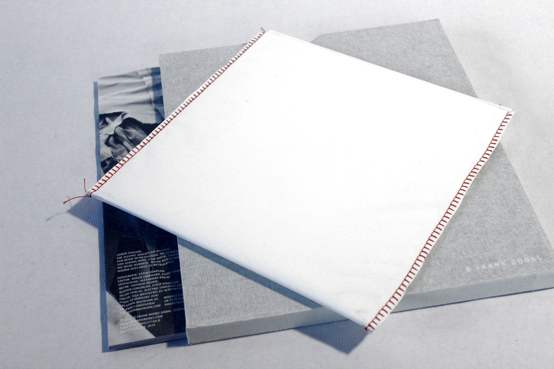 Dischi in vinile: STEPHAN EICHER & ESTER VONPLON: Gletschermilch, M/NM, lim. – Usato da Bern venduto da vinyl-heaven 3