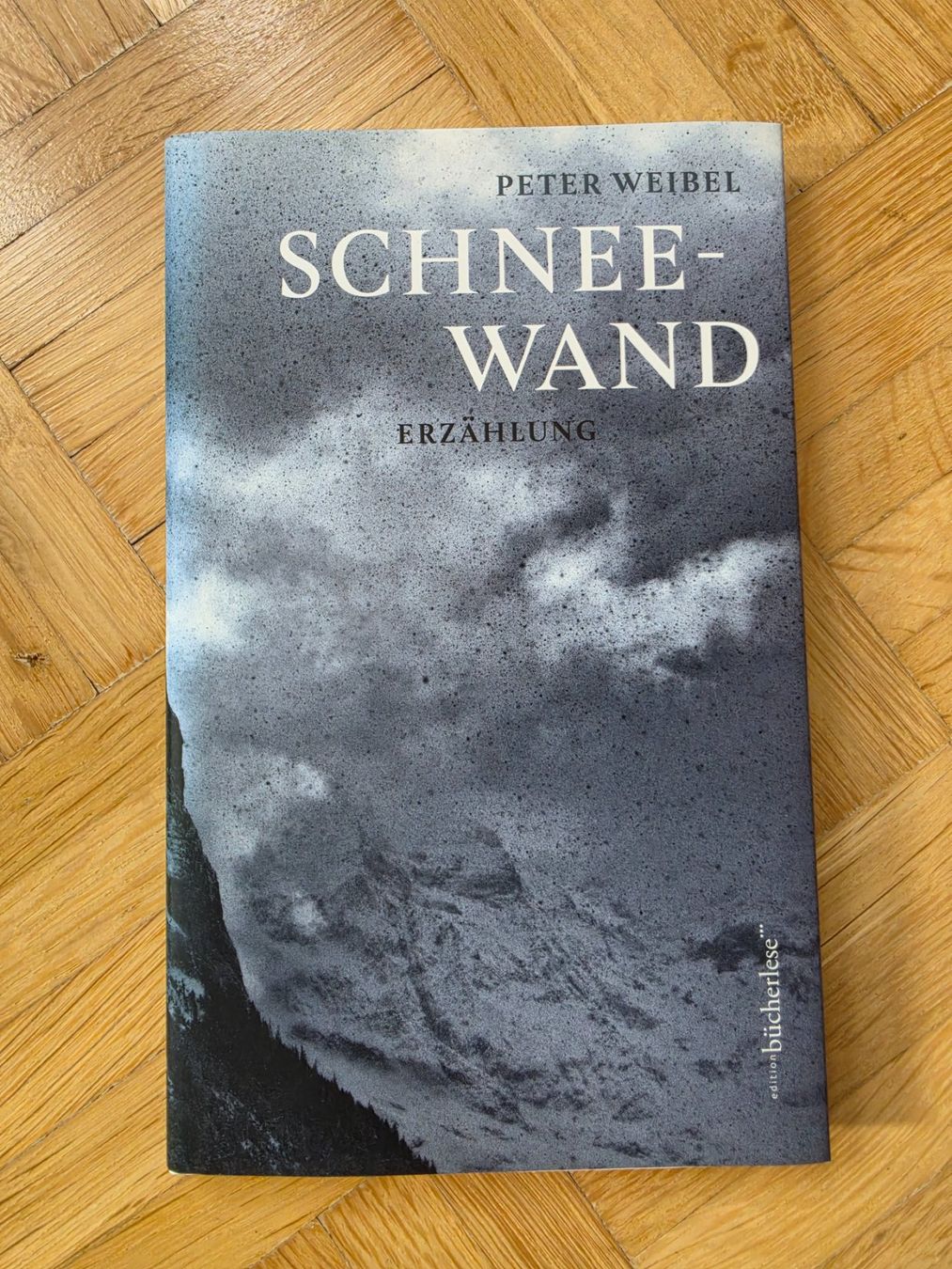 Bücher: Peter Weibel - Schneewand – Gebraucht aus Stäfa von flamingo_17