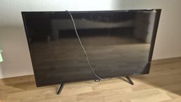Philips Fernseher 40"