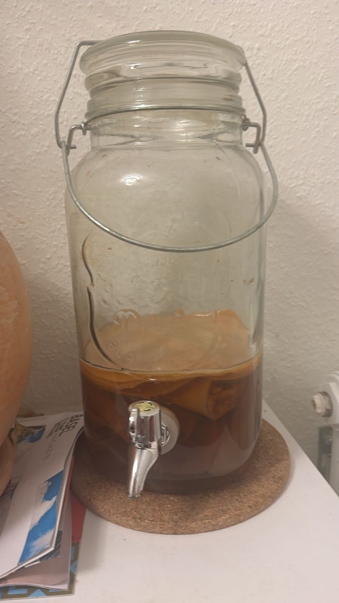 Cibi & Specialità: Kombucha – Usato da Basel venduto da rti_m5yd