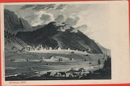 WILDHAUS 1820