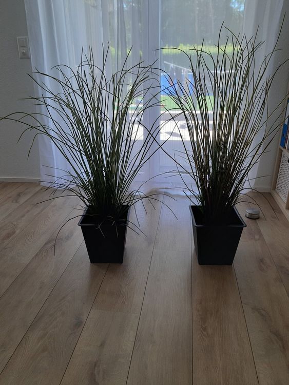 3 Kunstpflanzen gross IKEA Kaufen auf Ricardo