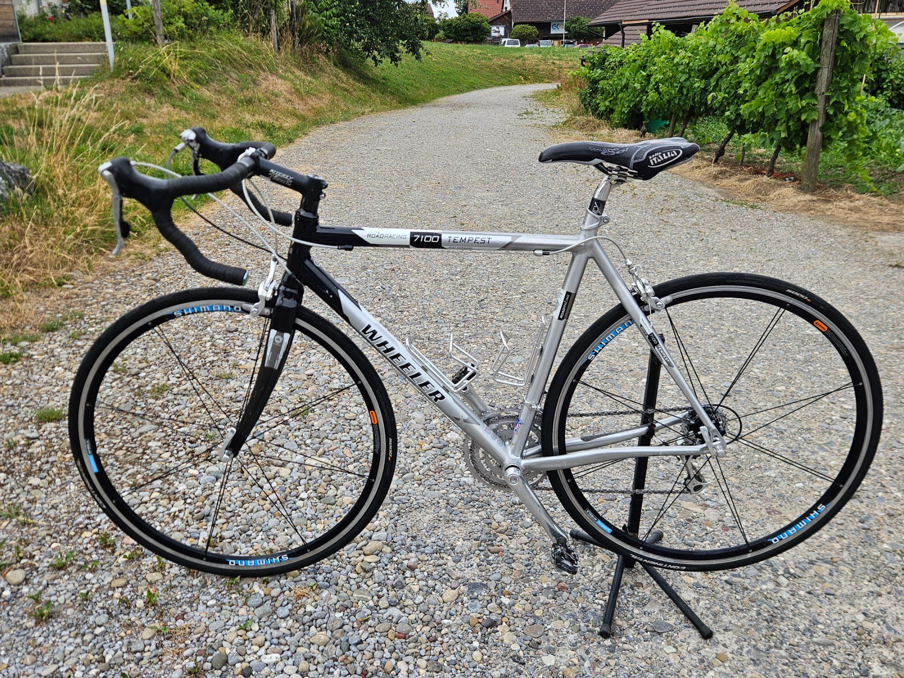 Wheeler Biciclette: Rennvelo Wheeler Tempest 7100 Roadracing – Usato da Grüningen venduto da 08082015 1