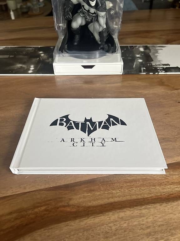 Figuren: P3 Batman Arkham City Collector Edition – Gebraucht aus Adliswil von Sarahs_Flohmi 2