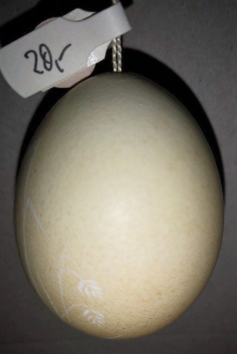 Statuette: Osterei geritzt (46) – Nuovo (secondo la descrizione) da Lutzenberg venduto da Truhe 1