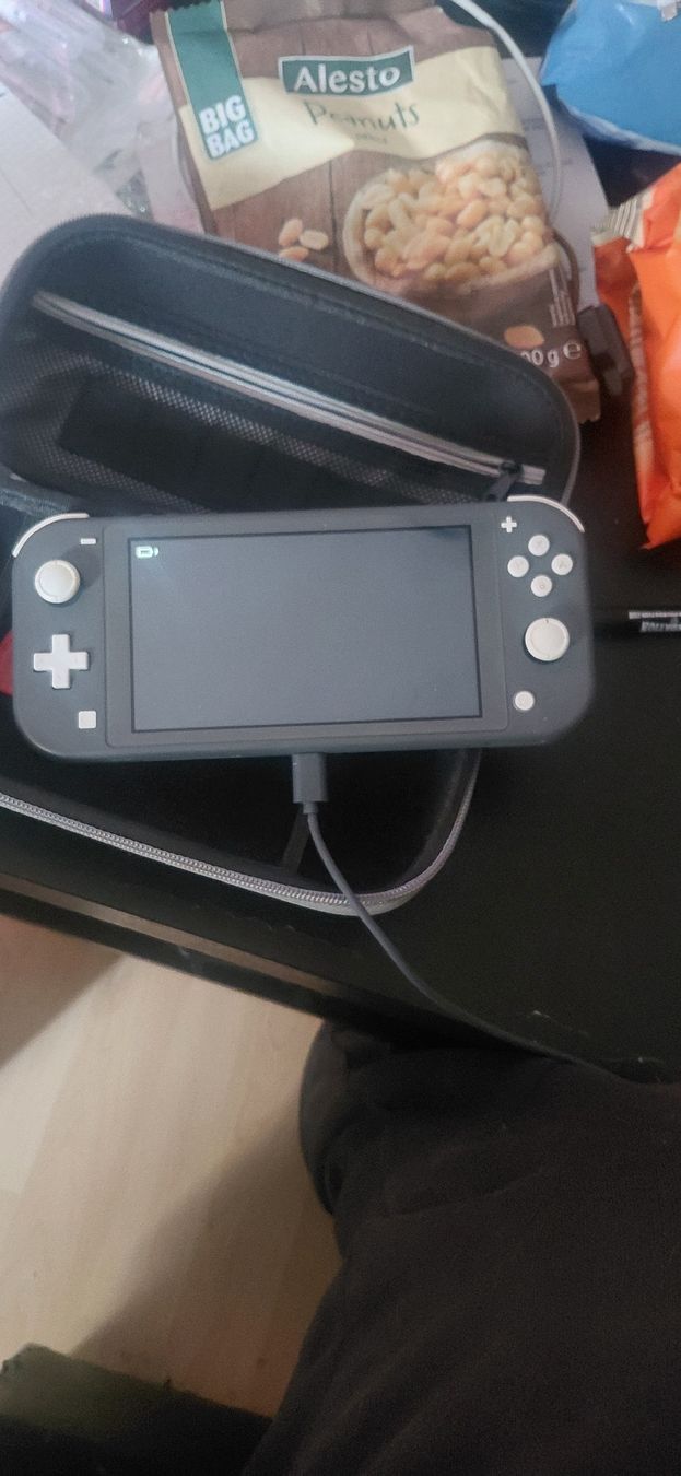 Nintendo Console: Nintendo Switch Lite Grau ohne ladengerät – Usato da Lichtensteig venduto da pas_7sdz 2