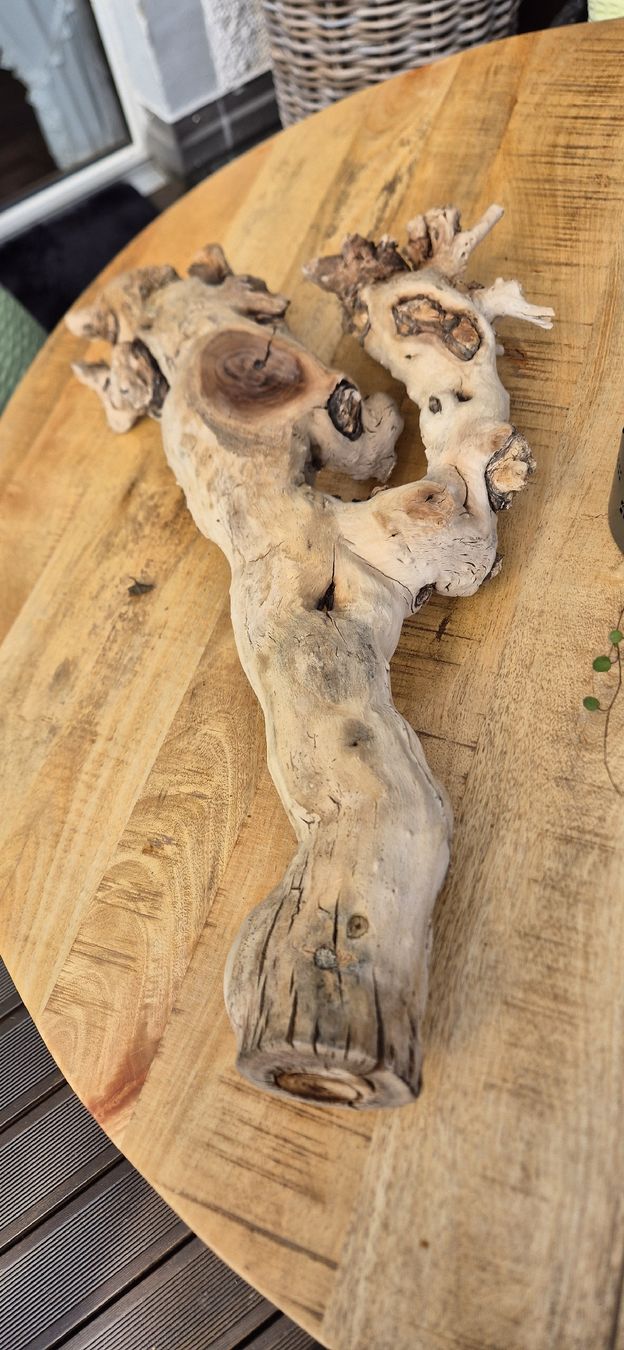 Articoli in legno: Wurzel – Usato da näfels venduto da vrenit 1