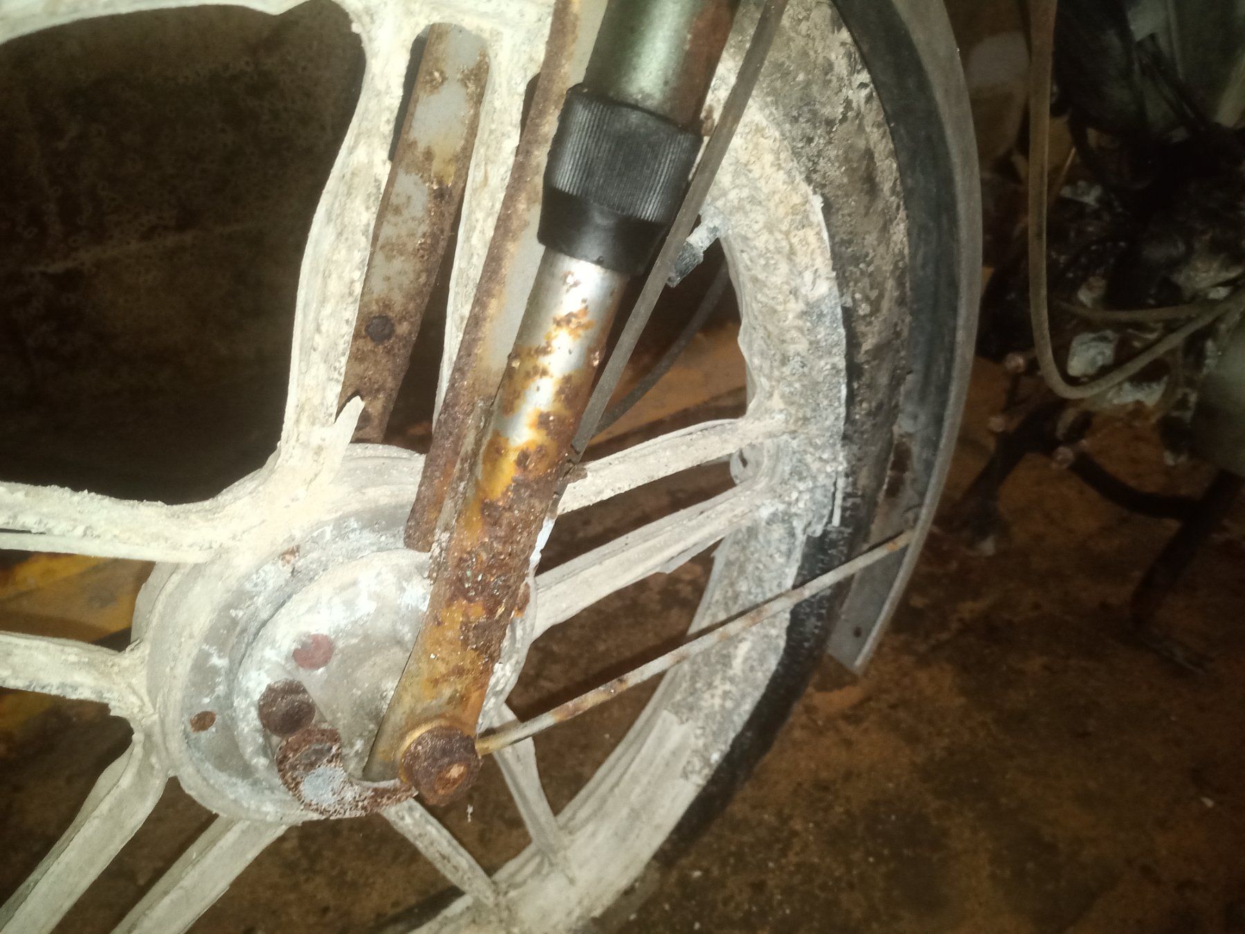 Puch Mofas: Dekoration Puch Maxi S – Gebraucht aus Reichenburg von finden001 5
