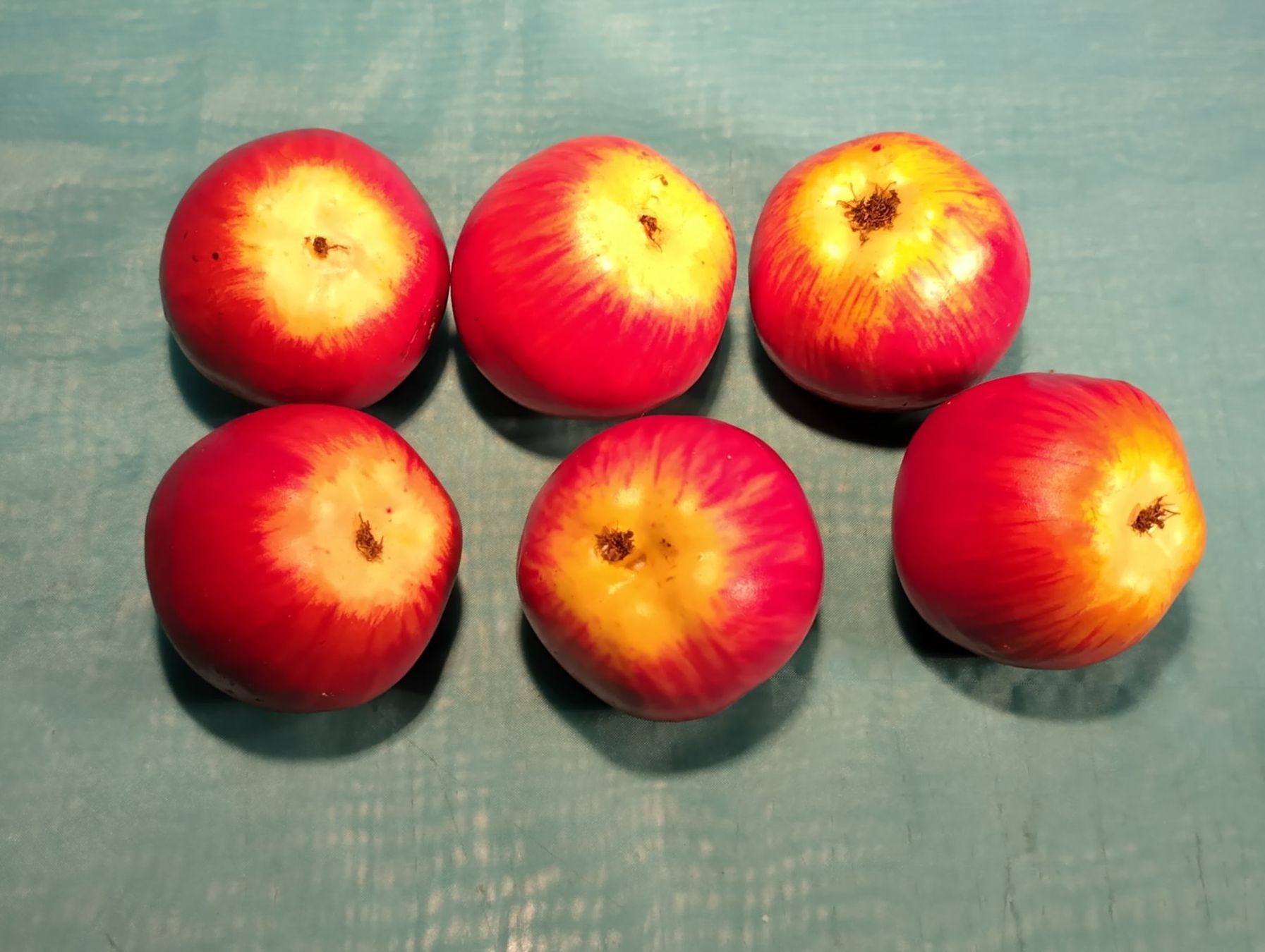 Tutte le decorazioni: 6 künstliche Aepfel, Herbstdeko – Nuovo (secondo la descrizione) da Bellach venduto da JingleCherry