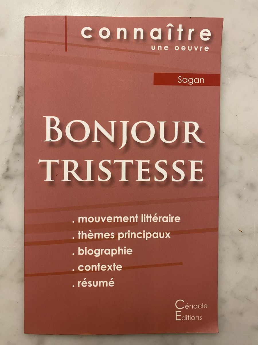 Livres: Buch Bonjour Tristesse Sagan hintergründe – D'occasion à Basel par sm0_smt6