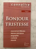 Buch Bonjour Tristesse Sagan hintergründe