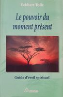 Le Pouvoir Du Moment Présent Patrick McDonnell Ariane Public