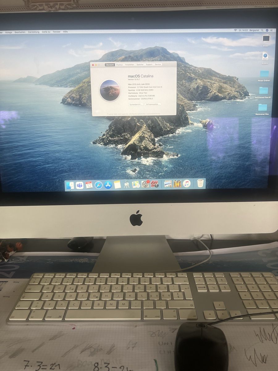 Apple PC: iMac 21.5“ Late 2013 – Usato da Altstätten SG venduto da ruf_7sp5