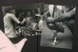 2 Fotografien Ansicht Malaysia, Hahnenka