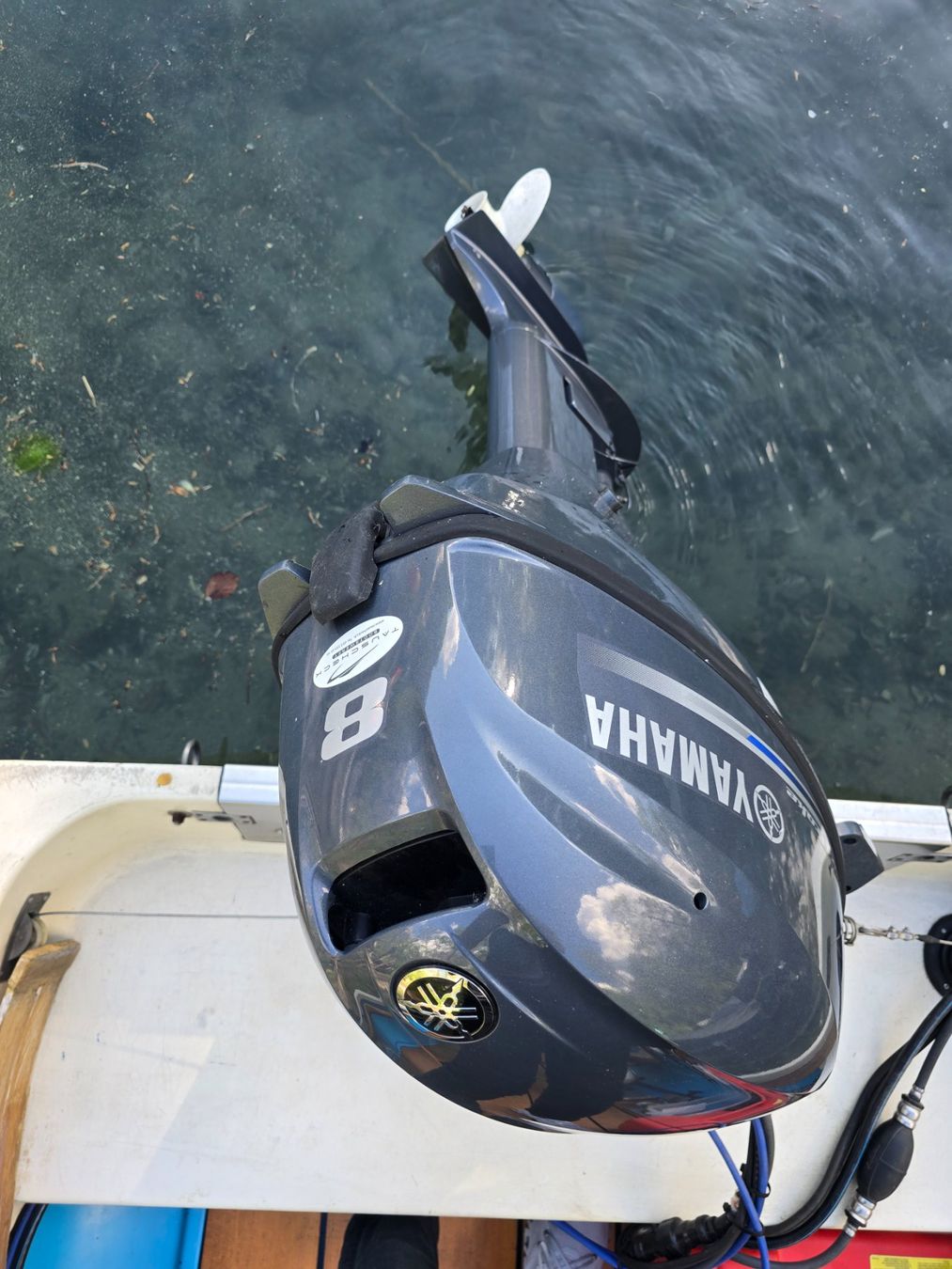 Yamaha Bateaux: 8 PS Boot Prüfungsfrei – D'occasion à Aeschi b. Spiez par N64_Collection 1
