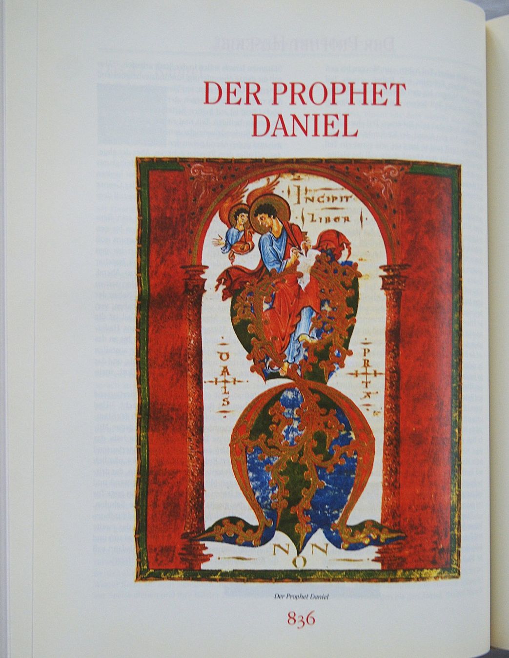 Livres: DIE BIBEL – D'occasion à Stadel par Wald100 9