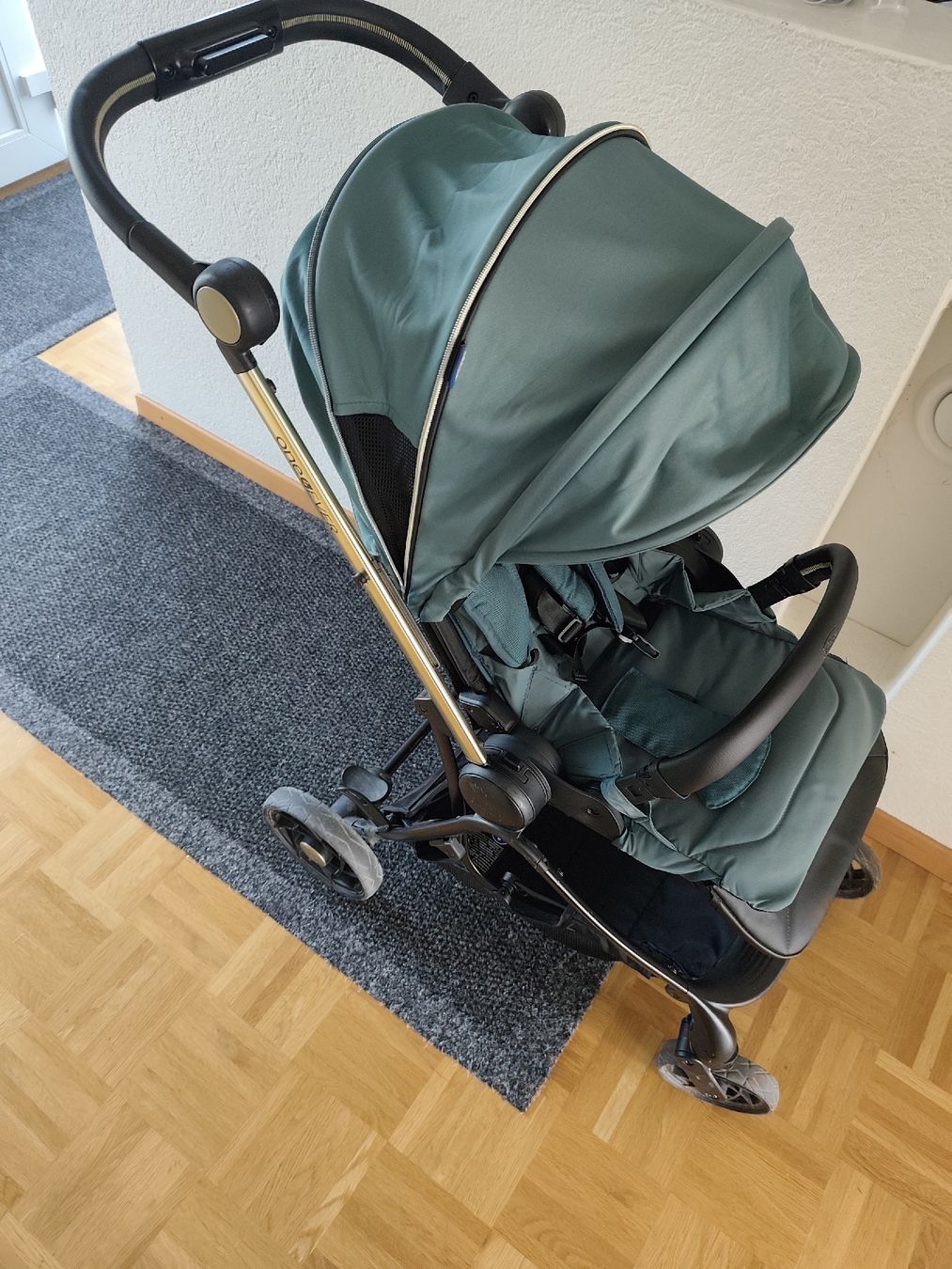 Chicco Carrozzine: Chicco One4Ever Kinderwagen – Usato da Mühleberg venduto da Riverinyoureyes