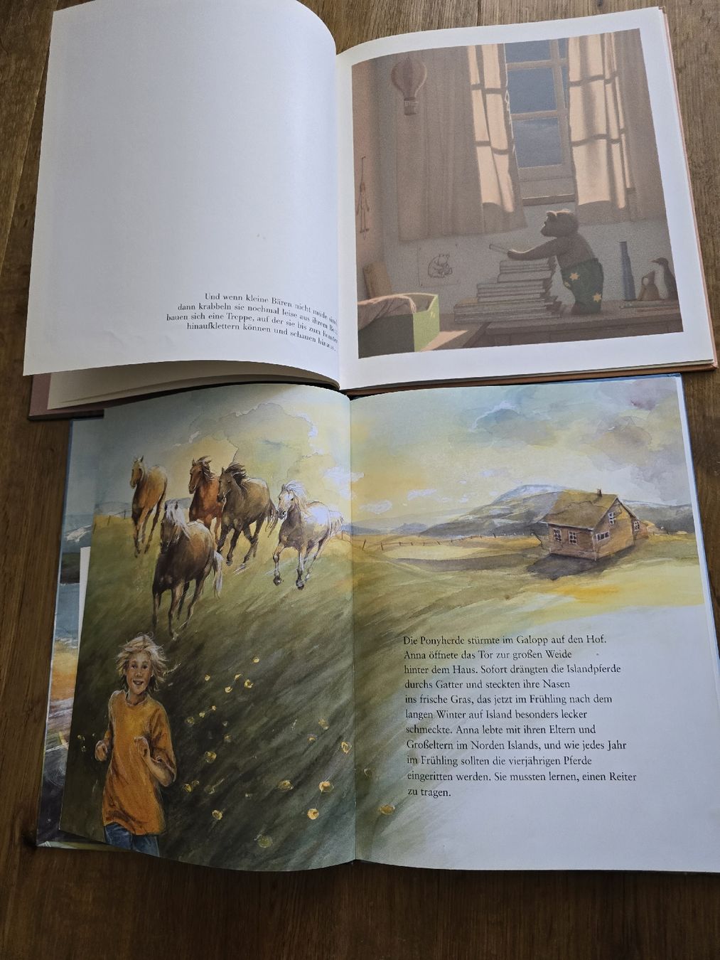 Libri: bücher für kinder – Usato da Wittenbach venduto da Tigerlili 4
