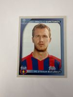Panini UEFA Champions League 2008-2009 - Nr. 518