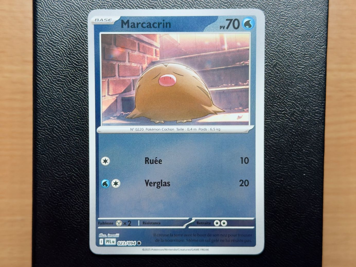 Pokémon Carte collezionabili: Marcacrin Reverse (023/094) - ME02 - PFL FR – Usato da Chézard-St-Martin venduto da Kro_Cards