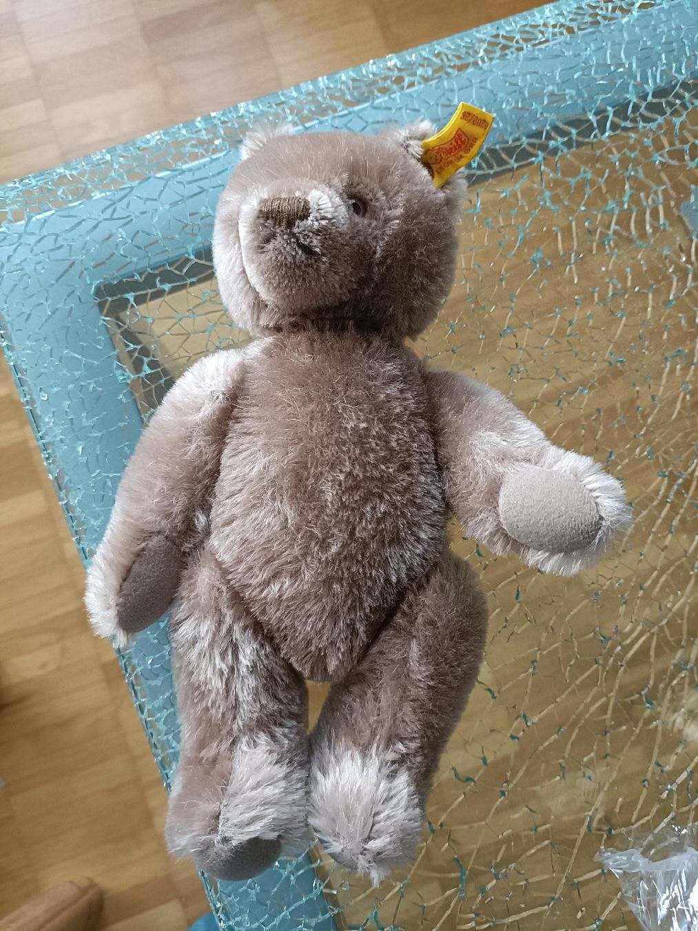 Steiff Giocattoli: Süsser Steiff Teddybär, 40 Jahre alt – Nuovo (secondo la descrizione) da Schinznach Bad venduto da knucker 4
