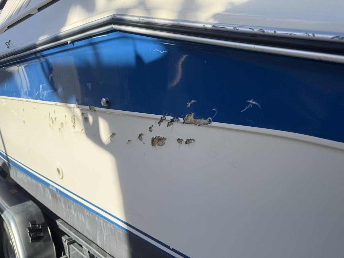 Sea Ray Boote: Sea Ray Cuddy Cabin – Gebraucht aus Wilen b. Wollerau von Loonyacht 5