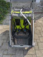 Fahrradanhänger Thule Chariot grün grau gebrauchter Zustand