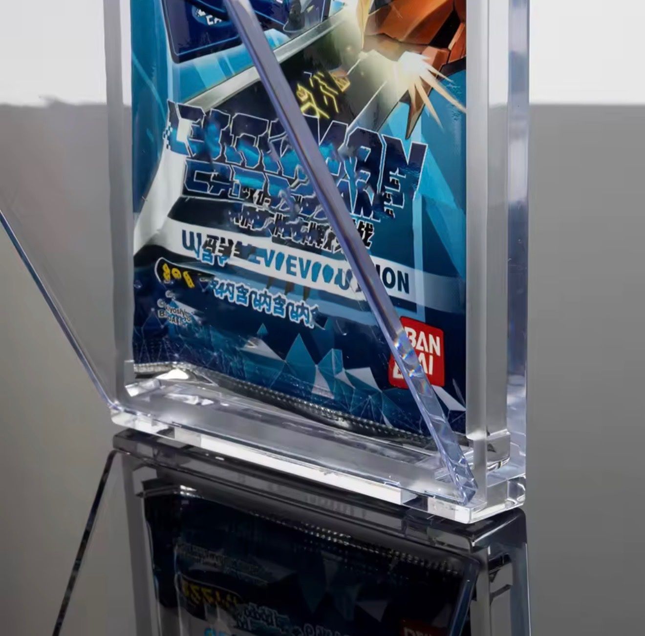 Pokémon Carte collezionabili: Pokemon Booster Pack Acrylic Magnetic Case – Nuovo e nell'imballaggio originale da Gandria venduto da PokeBrothersCH 2