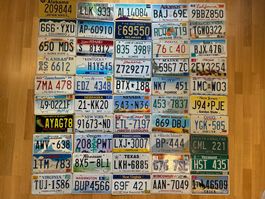🇺🇸 Autoschild Komplettset: Alle 50x U.S. Bundesstaaten