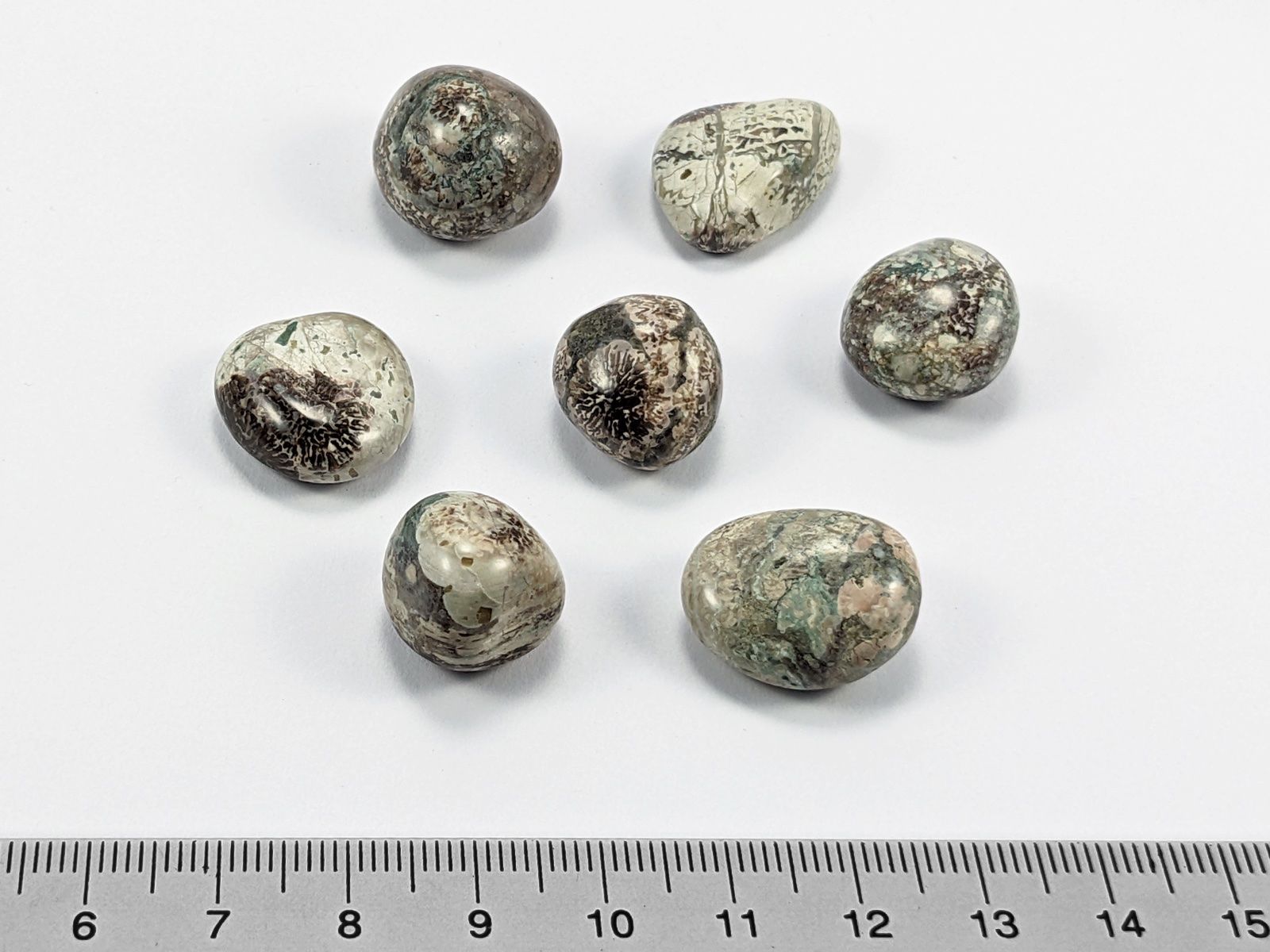 Minerali & Pietre curative: Dendriten-Rhyolith 7Stk. 30 Gramm – Nuovo e nell'imballaggio originale da Meilen venduto da StoneGarden