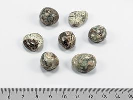 Dendriten-Rhyolith 7Stk. 30 Gramm
