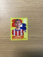 Panini FIFA WC PAR 15