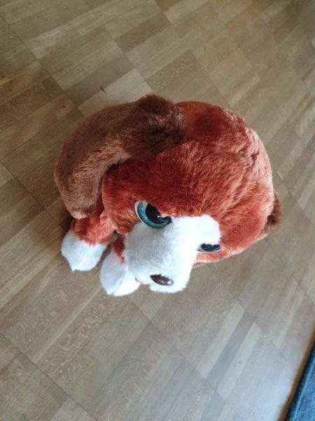 FurReal Giocattoli: Fur Real Hector – Usato da Wil SG venduto da Drop4