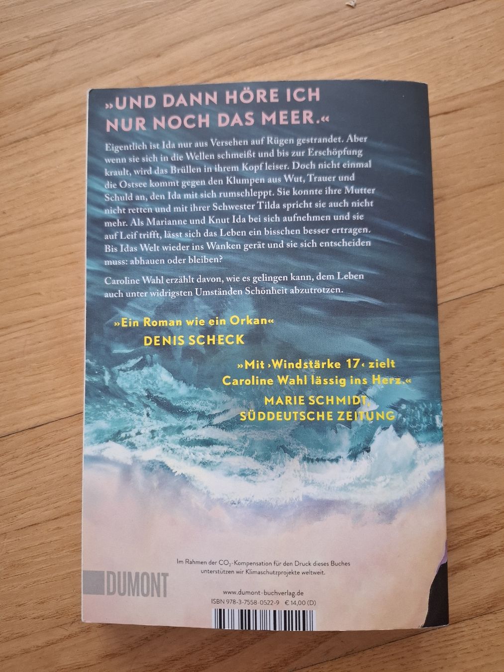 Bücher: Caroline Wahl - Windstärke 17 – Gebraucht aus Gossau ZH von herrerra.25 1