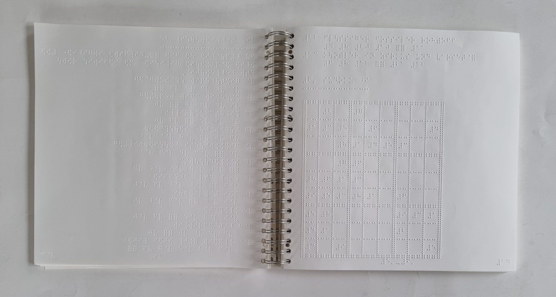 Libri: Brailleschrift-Buch Spiralblock – Usato da Opfikon venduto da Diversamente 3
