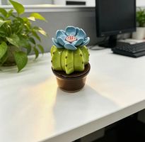 Kaktus Topfpflanze: Keramik/Deko/Geschenk