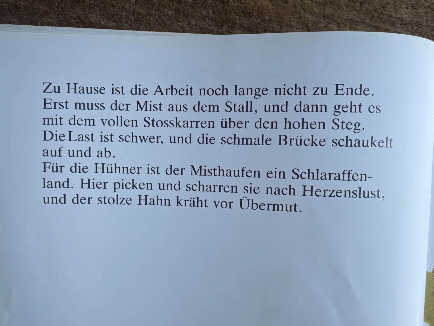 Bücher: Der Bueb vom Trueb, Ferdinand Steenaerts – Gebraucht aus Aarau von Kilauea 2
