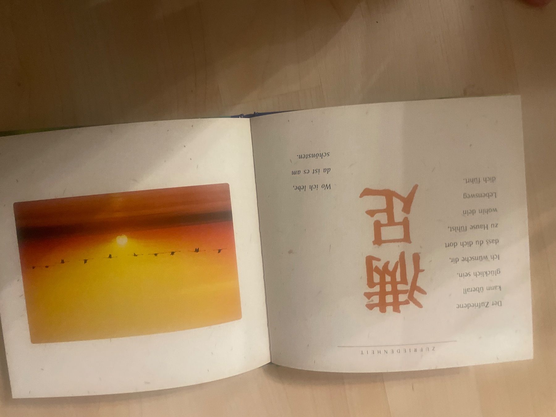 Libri: Tausenderlei Glück Buch – Usato da Schaffhausen venduto da Kolibri023 3