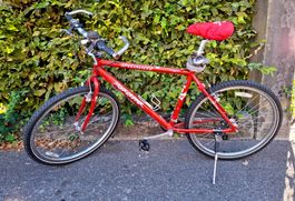 Original Specialized Rock Hopper