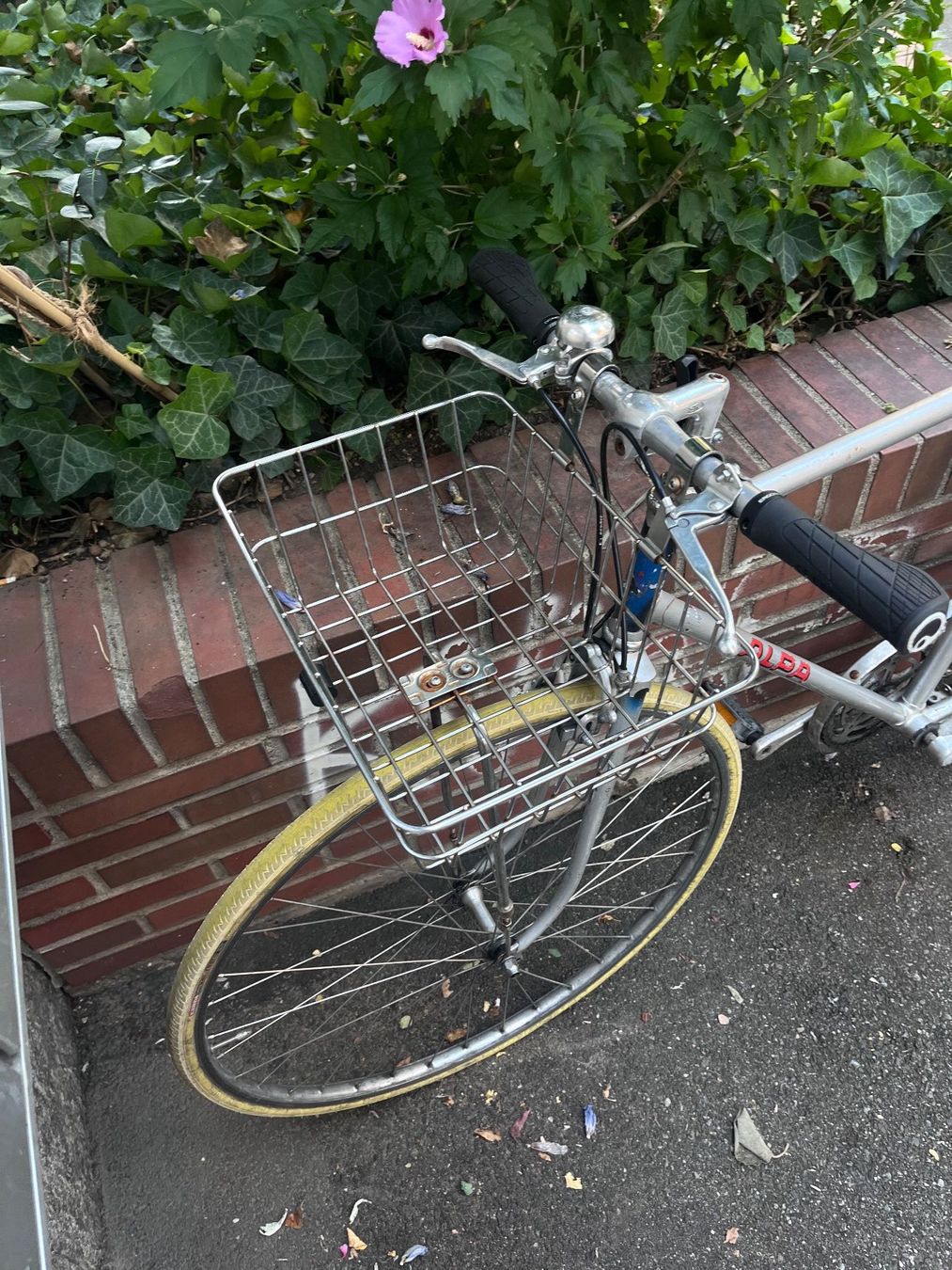 Velos: ALPA Renner Velo mit Korb – Gebraucht aus Zürich von Jona.B 1