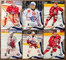 Sportzoo 25/26 - SC Rapperswil-Jona Lakers