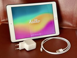 Apple iPad 6. Generation  Gold - 128 GB WiFi - mit Zubehör