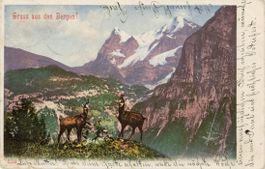 Thun   BE   ( Gemsen im Berner Oberland)      um  1 9 0 9