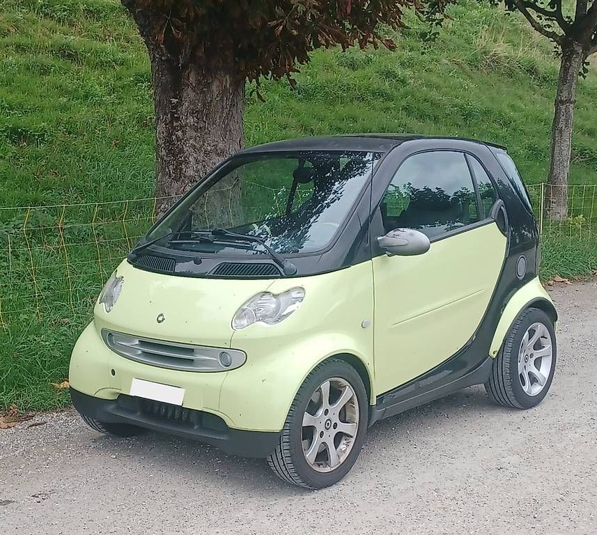 Voiturettes électriques: SMART 450 + 4 roues + Kit Carrosserie – D'occasion à Romont FR par cti_sdw2