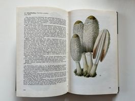 Taschenbuch für Pilzfreunde Bruno Hennig