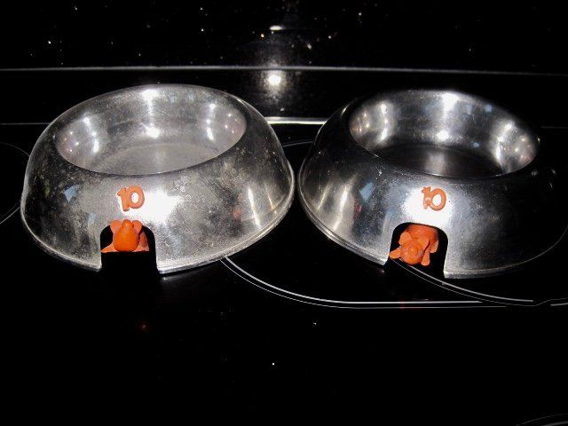 Ciotole: 2 GAMELLES POUR PETITS CHIENS – Usato da Murten venduto da Selliot