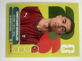 POR15 Panini Sticker