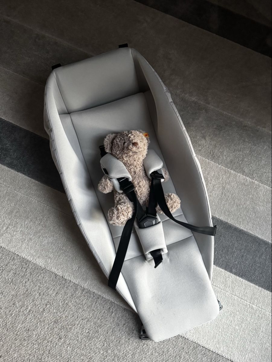 Thule Kinderwagen: Thule Chariot infant sling – Gebraucht aus Zürich von Sophia8004