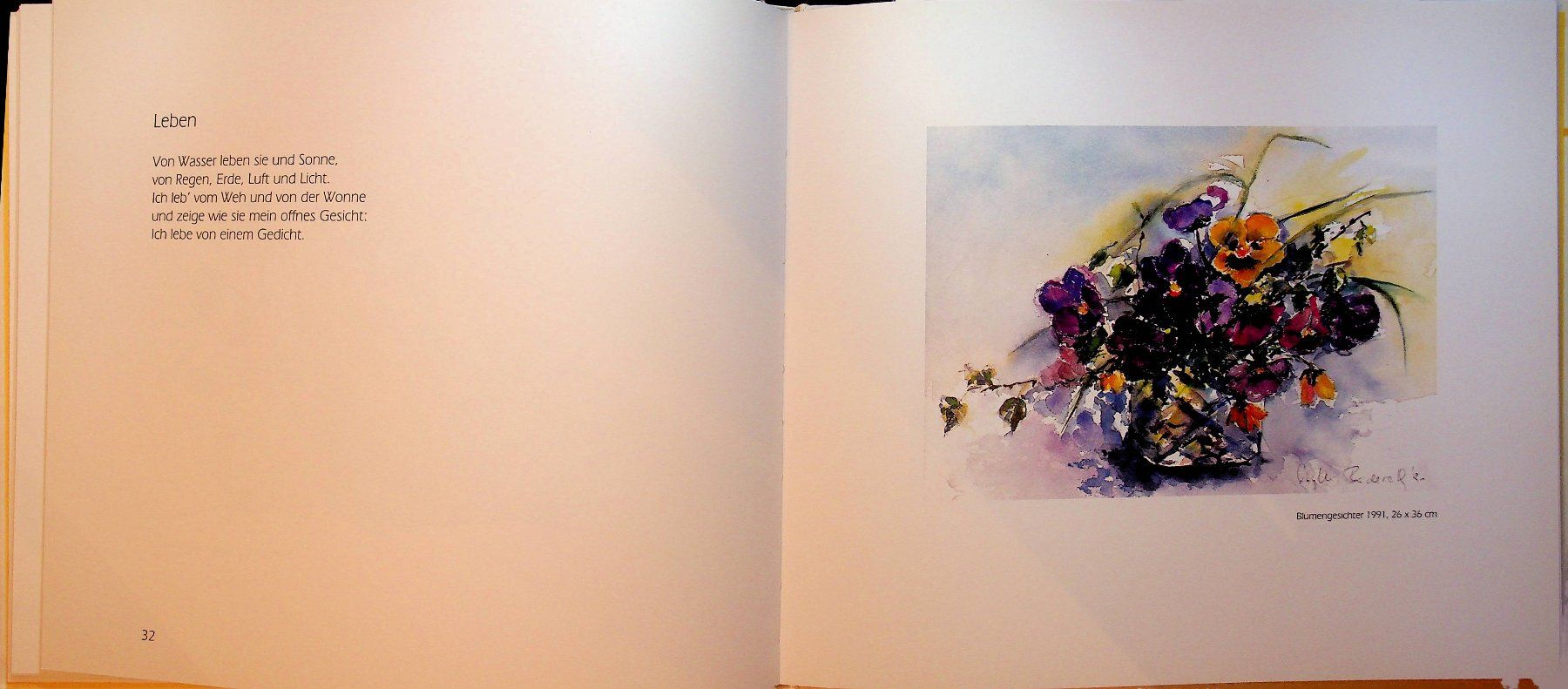 Livres: G. Munz , S. Buderath Blumen am Weg – D'occasion à Reitnau par Zaomir 6